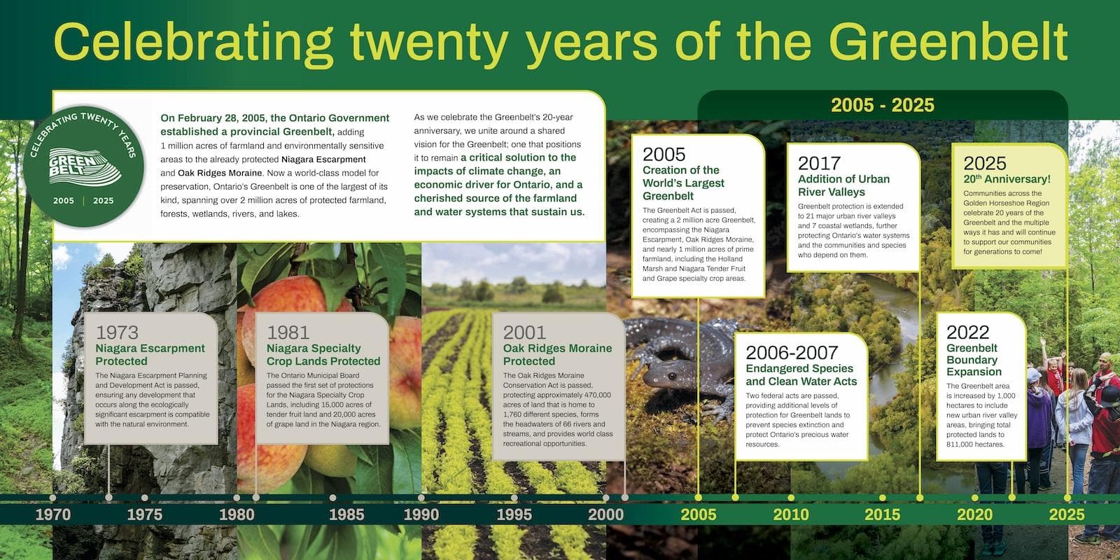 Infographic sample