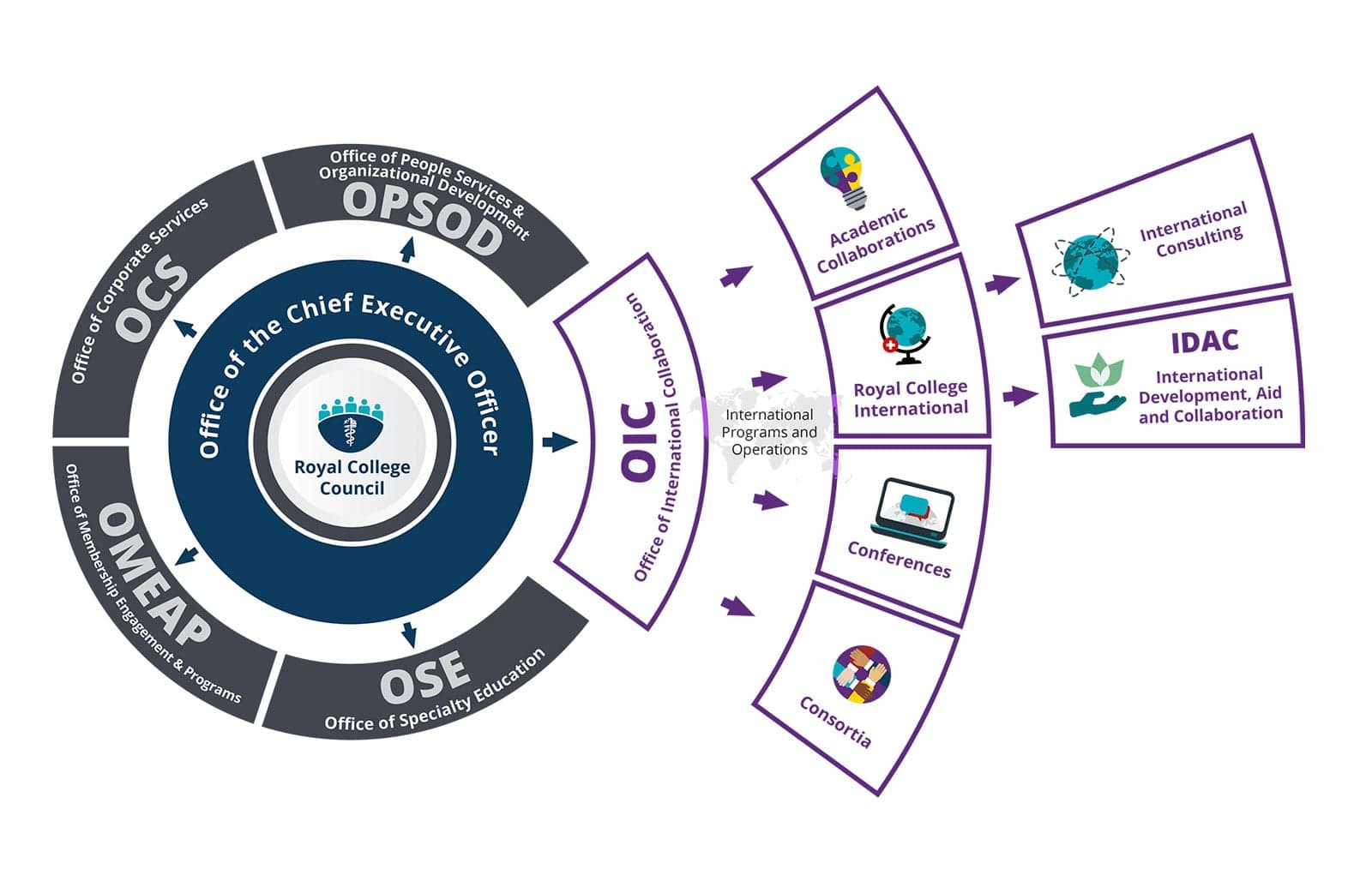 Royal College of Physicians and Surgeons — International infographic