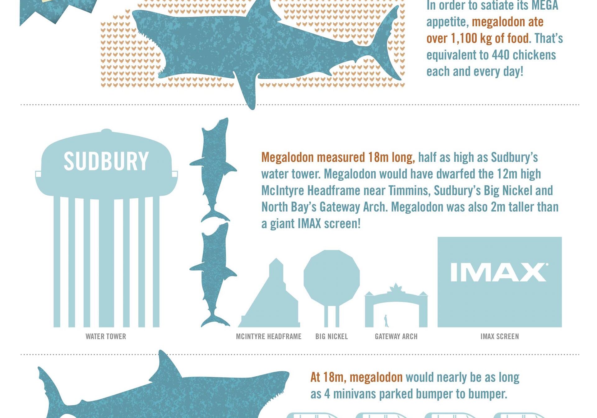 Science North Megalodon Infographic Shark Bites Dynamic Earth